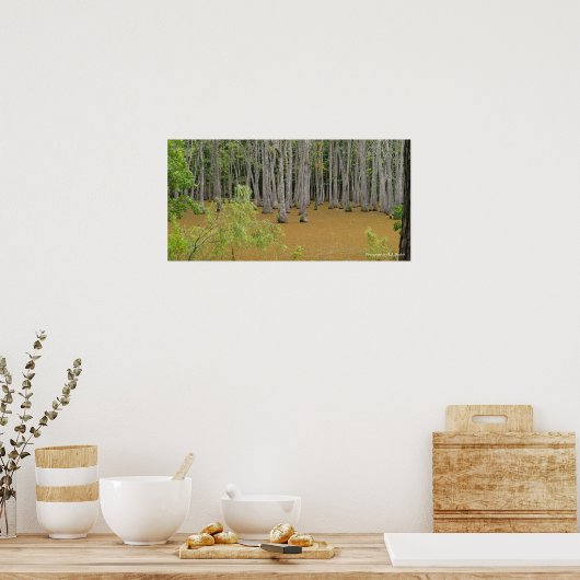 Mystic Swamp Poster (Keuken)