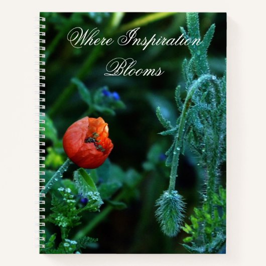 Mystical Botany Era Poppy and Dew Floral Notebook Notitieboek (Voorkant)