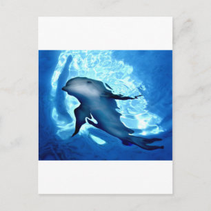 Mystical Dolphin.jpg Briefkaart