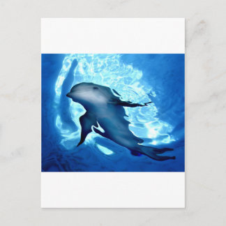 Mystical Dolphin.jpg Briefkaart