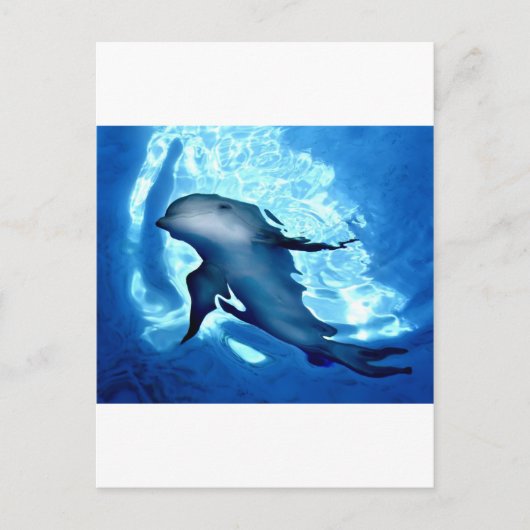 Mystical Dolphin.jpg Briefkaart (Voorkant)