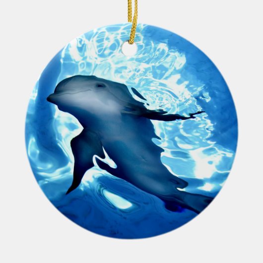 Mystical Dolphin.jpg Keramisch Ornament (Voorkant)