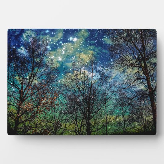 Mystical Forest Celestial Blue Night Sky Fotoplaat (voorkant)