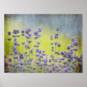 Mystical Lavender Poster (Voorkant)