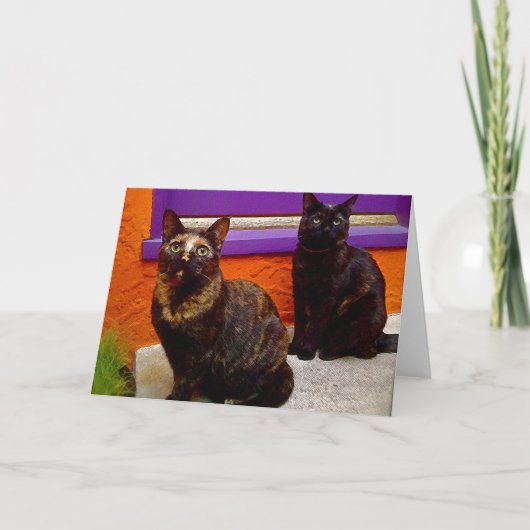 Mystical Monkey Cats-Wenskaart Kaart (Voorkant)