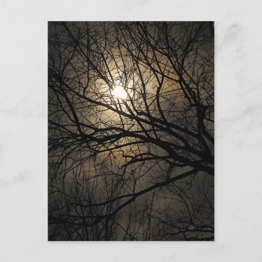 Mystical Moon Briefkaart (Voorkant)