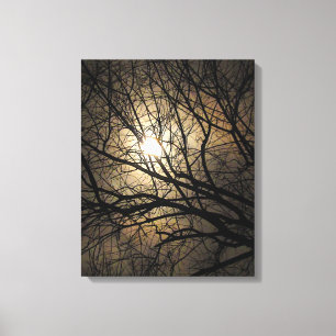 Mystical Moon Canvas Afdruk