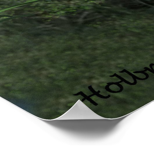 Mystical Moonlit Pirate Ship Poster (Hoek)