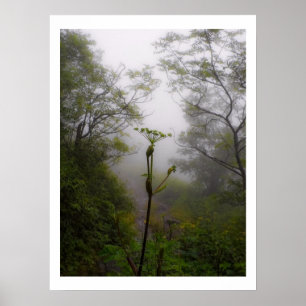Mystical Morning bij Appalachian Trail Poster