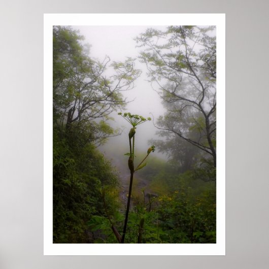 Mystical Morning bij Appalachian Trail Poster (Voorkant)
