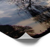 Mystical Night, Maan die door het Poster van de Bo (Hoek)