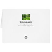 Mystical Old Oak Woodland - Happy Birthday Card (Achterkant Horizontaal)