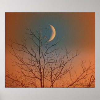 Mystical Smiling Moon Poster