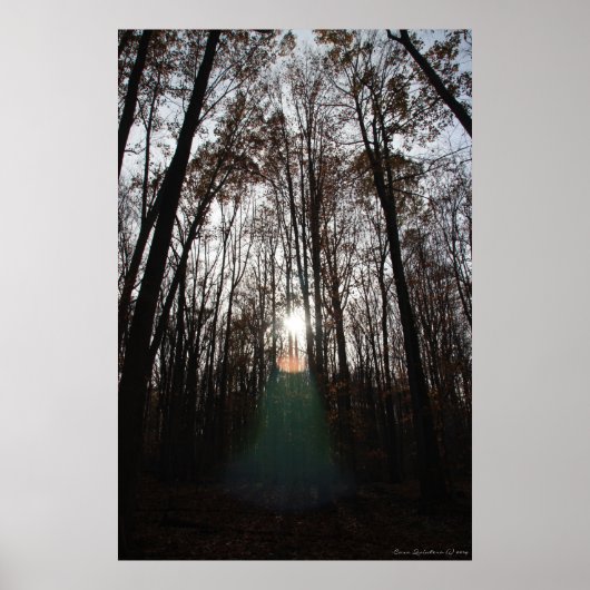 Mystical Spirit of the Forest Print #015 (Voorkant)