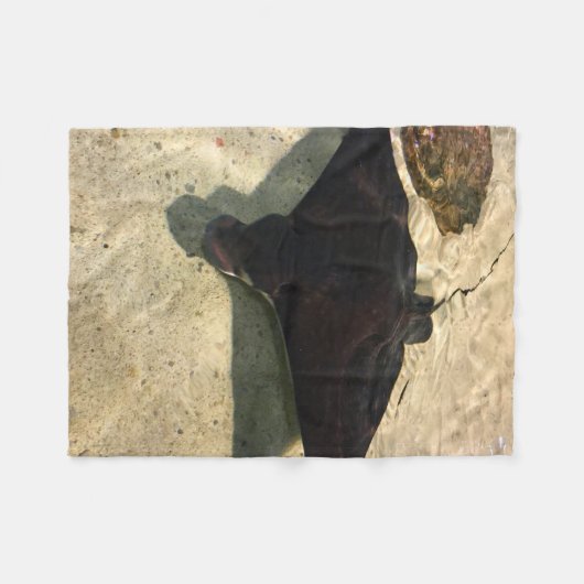 Mystical Stingray Fleece Deken (Voorkant (Horizontaal))