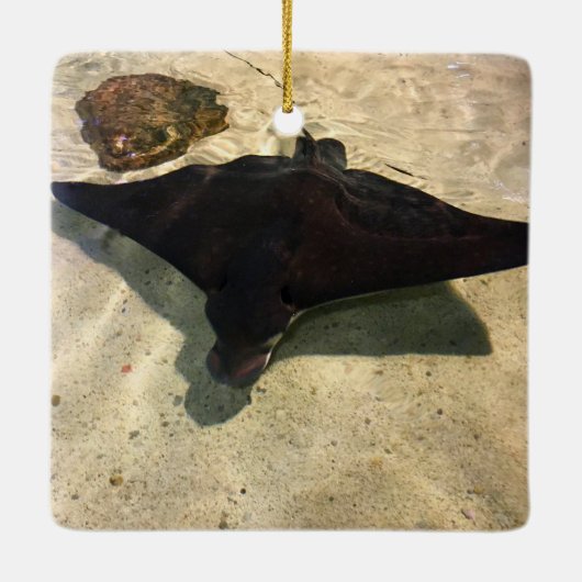 Mystical Stingray Keramisch Ornament (Achterkant)