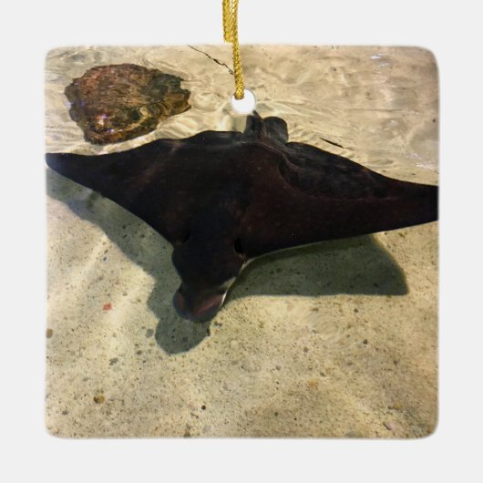 Mystical Stingray Keramisch Ornament (Voorkant)