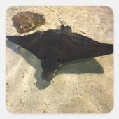 Mystical Stingray Vierkante Sticker (Voorkant)