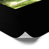 Mystical Sunlight Through Forest Photo Art Poster (Hoek)