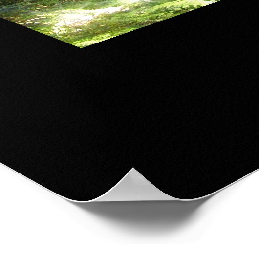 Mystical Sunlight Through Forest Photo Art Poster (Hoek)