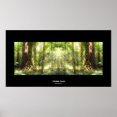 Mystical Sunlight Through Forest Photo Art Poster (Voorkant)