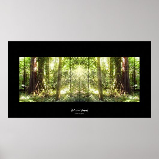 Mystical Sunlight Through Forest Photo Art Poster (Voorkant)