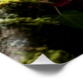 Mystical Woodland Moth Perfect Poster (Hoek)