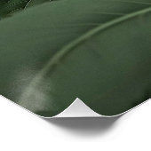 Mystical Woodland Moth Perfect Poster (Hoek)