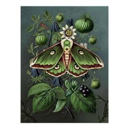 Mystical Woodland Moth Perfect Poster