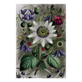 Mystical Woodland Moth Perfect Poster