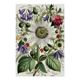 Mystical Woodland Moth Perfect Poster