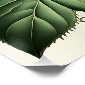 Mystical Woodland Moth Perfect Poster (Hoek)
