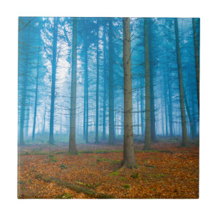 Mystiek Bos bij de mist in blauw en oranje Tegeltje