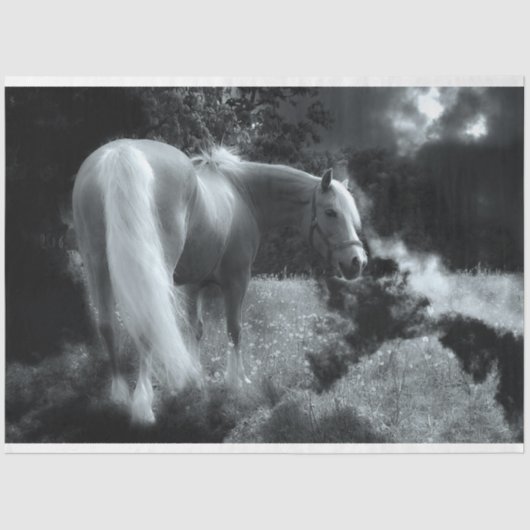 mystiek nachtelijk papier voor paarden (Voorkant)