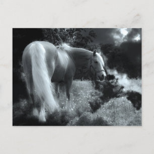 mystiek nachtpaard briefkaart