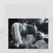 mystiek nachtpaard briefkaart (Voorkant / Achterkant)