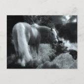 mystiek nachtpaard briefkaart (Voorkant)