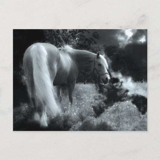 mystiek nachtpaard briefkaart (Voorkant)