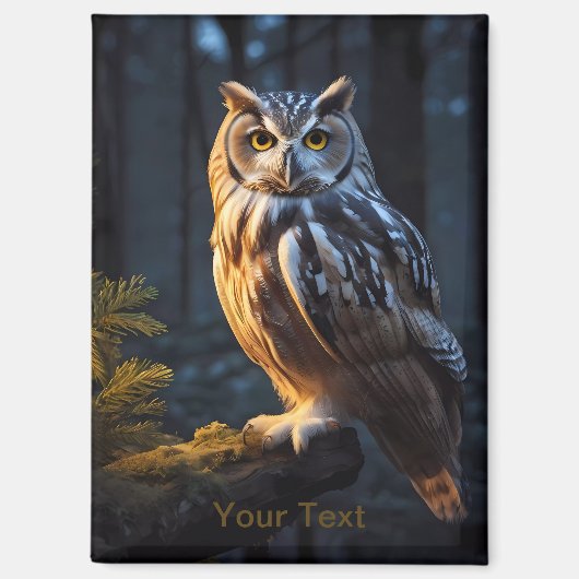 Mystieke blauwe uil magneet (Voorkant)