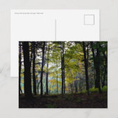 Mystieke Bossen in Quechee Gorge Briefkaart (Voorkant / Achterkant)