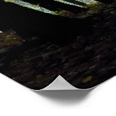 Mystieke Bossen in Quechee Gorge Poster (Hoek)