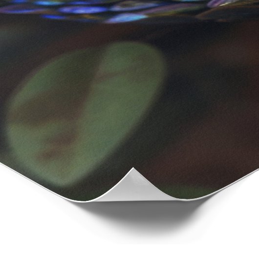 Mystieke Dark Rainbow Iridescent Viper Coiled Post Poster (Hoek)