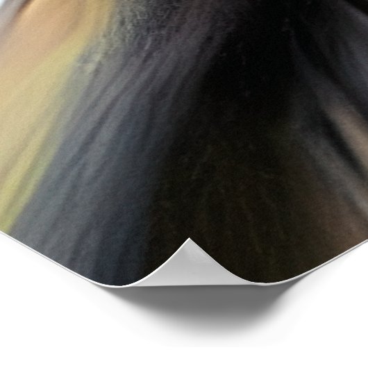 Mystieke Etherische Mooie Vrouwen Poster (Hoek)