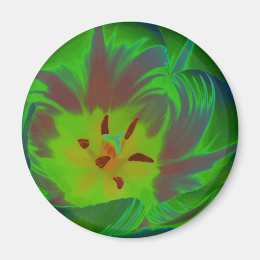 Mystieke groene tulp magneet (Voorkant)