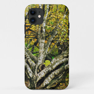 Mystieke Kromme Kareliaanse Berk Case-Mate iPhone Case