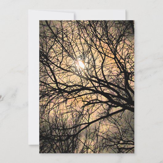 Mystieke maan Halloween uitnodiging (Voorkant)