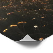 Mystieke Mereflexies Poster (Hoek)
