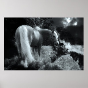 mystieke nacht paard poster