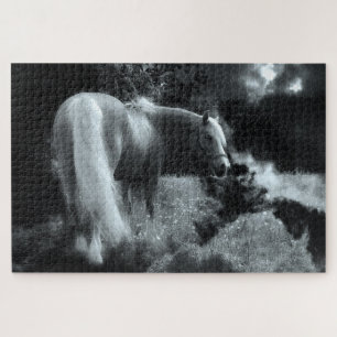 mystieke nachtpuzzel legpuzzel