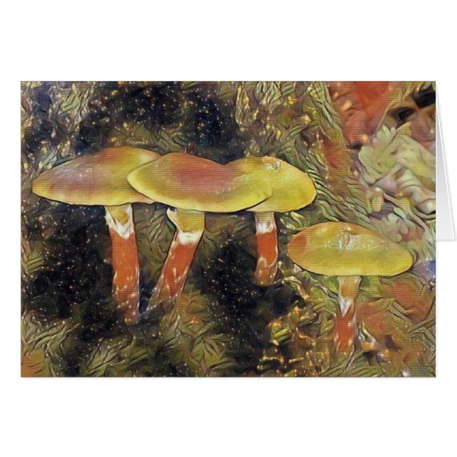 Mystieke paddenstoelen (Voorkant Horizontaal)